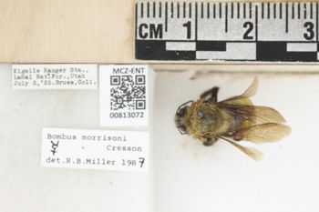 Media type: image;   Entomology 813072 Aspect: labels